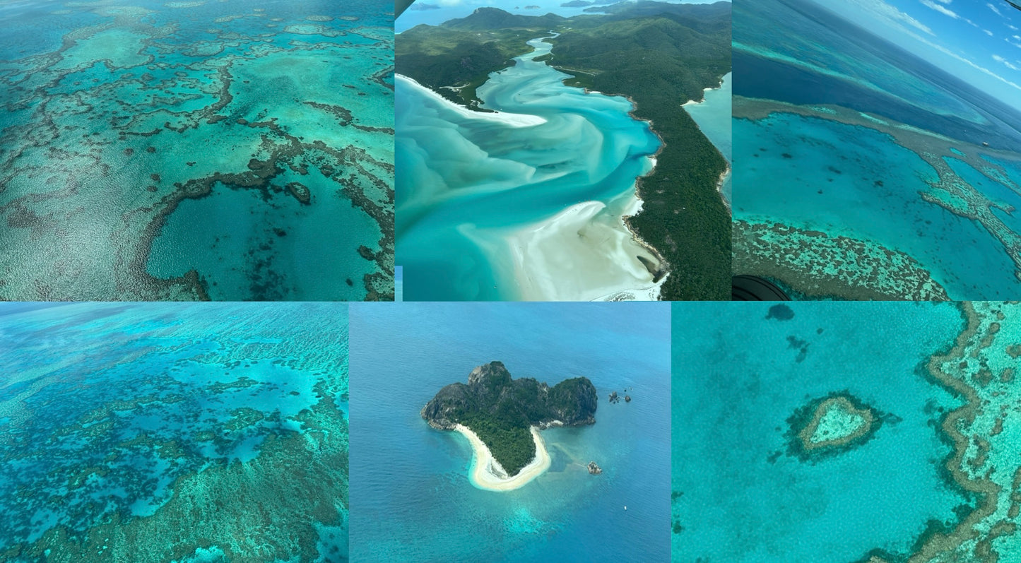 12 oz Mug: "Great Barrier Reef" Design by Beth Walters